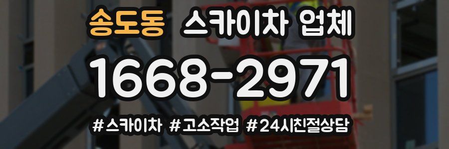 송도동 스카이차 업체