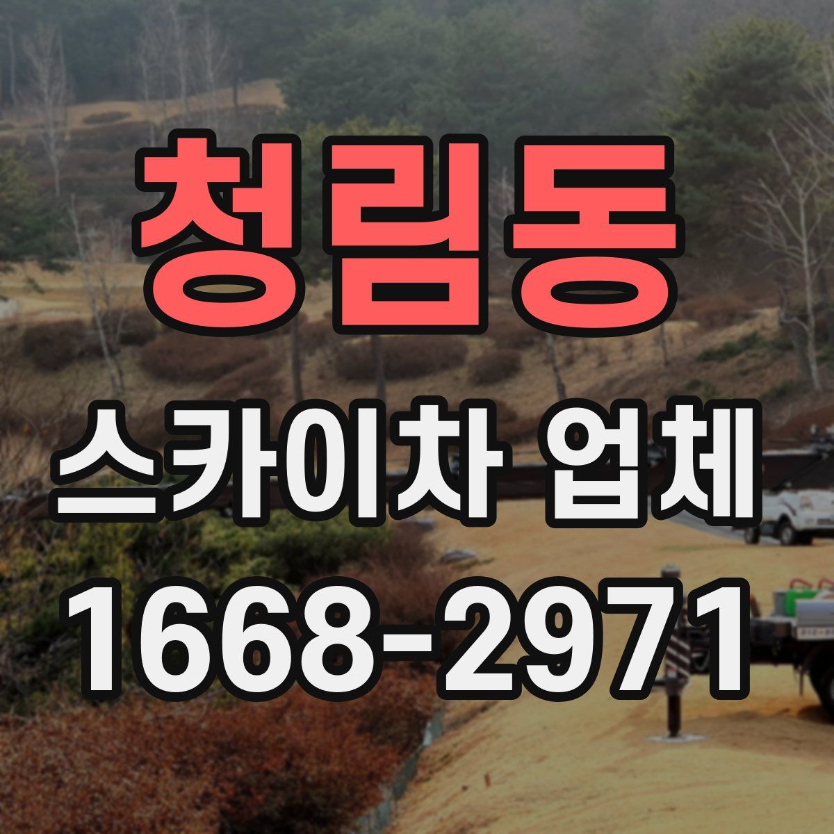 청림동 스카이차 업체