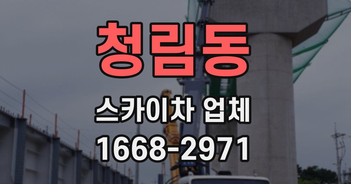 청림동 스카이차 업체
