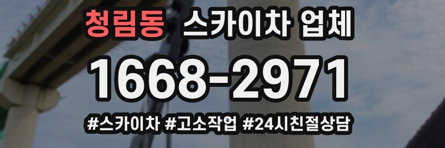 청림동 스카이차 업체