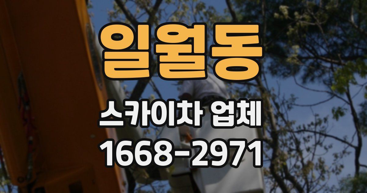 일월동 스카이차 업체