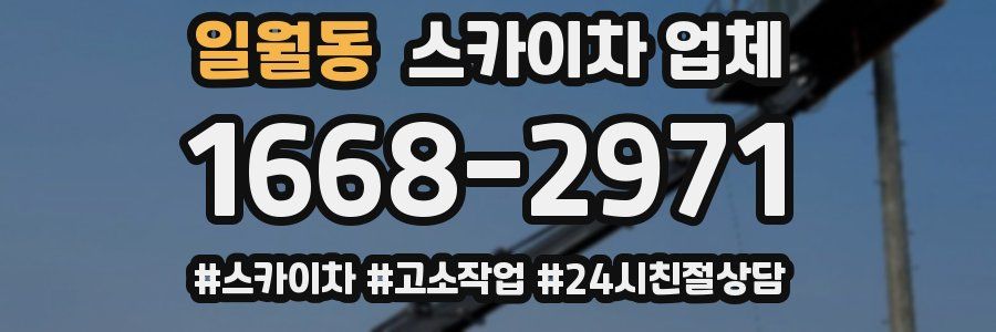 일월동 스카이차 업체