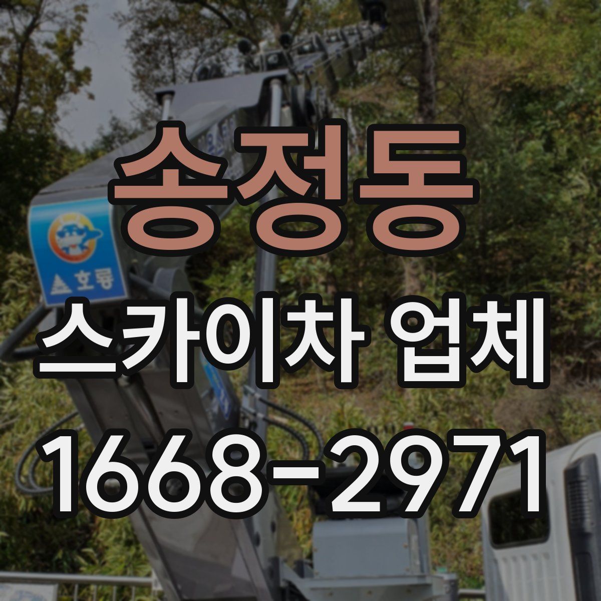 송정동 스카이차 업체
