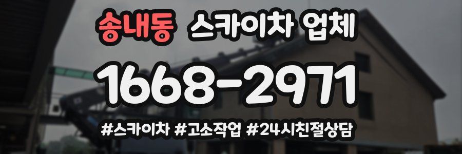송내동 스카이차 업체