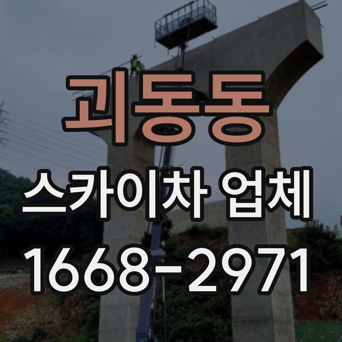 괴동동 스카이차 업체