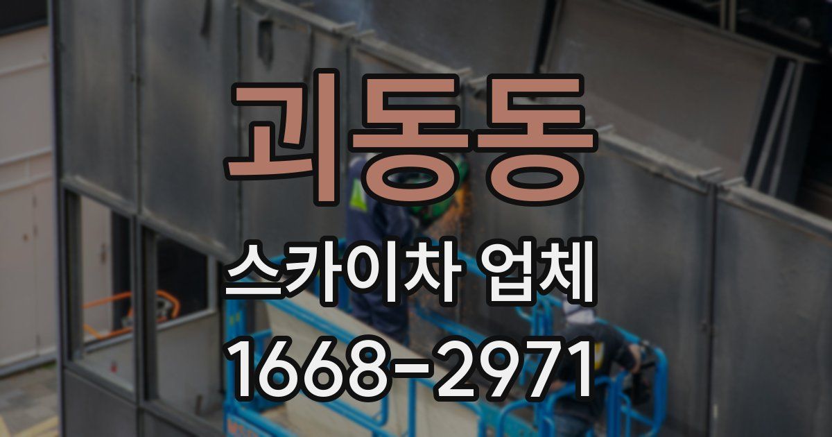 괴동동 스카이차 업체
