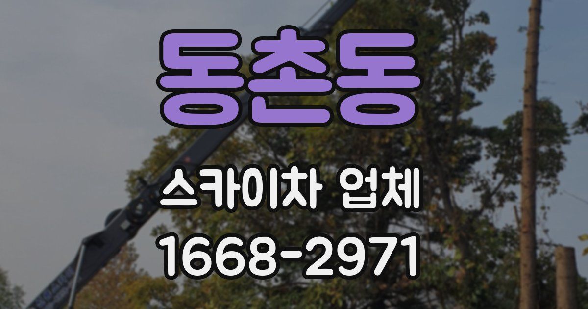 동촌동 스카이차 업체