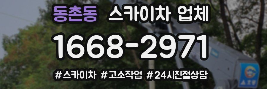 동촌동 스카이차 업체