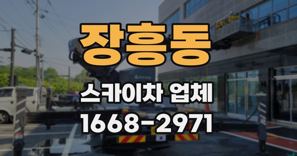 장흥동 스카이차 업체