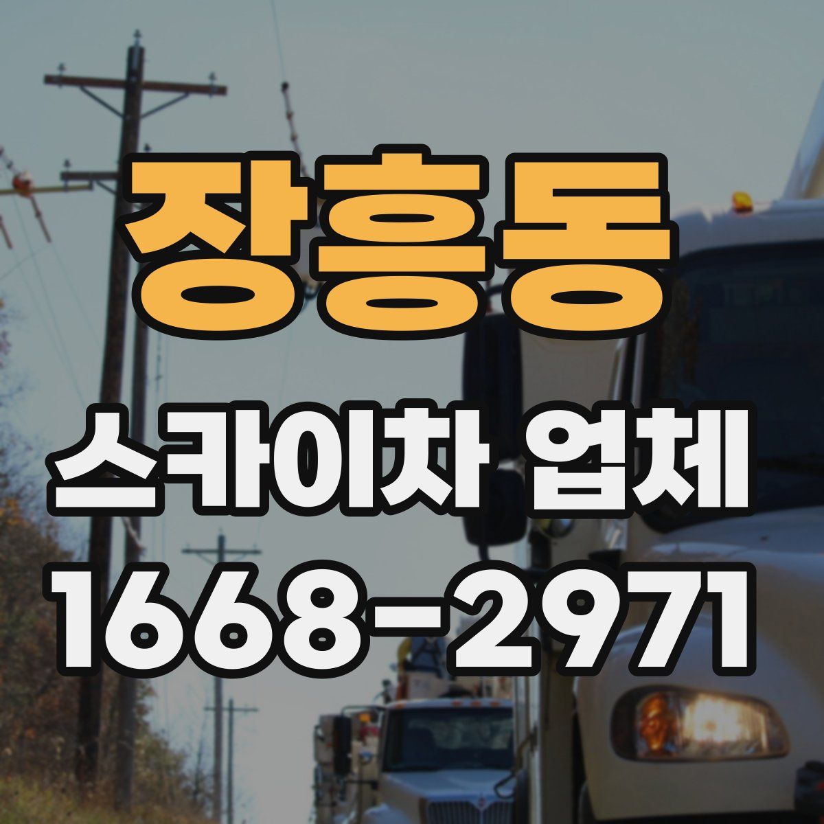 장흥동 스카이차 업체