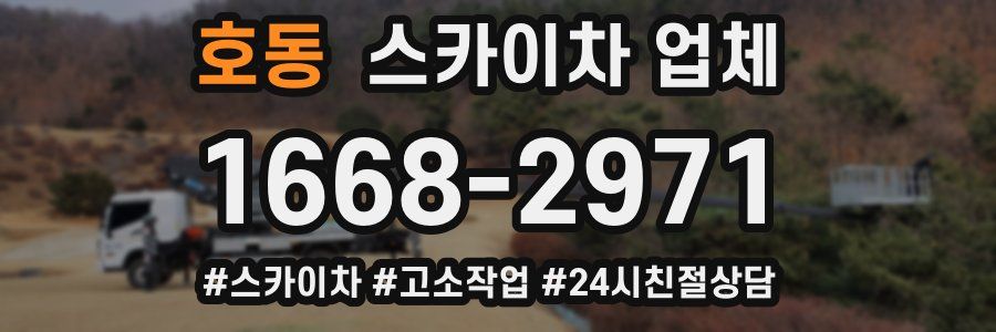 호동 스카이차 업체