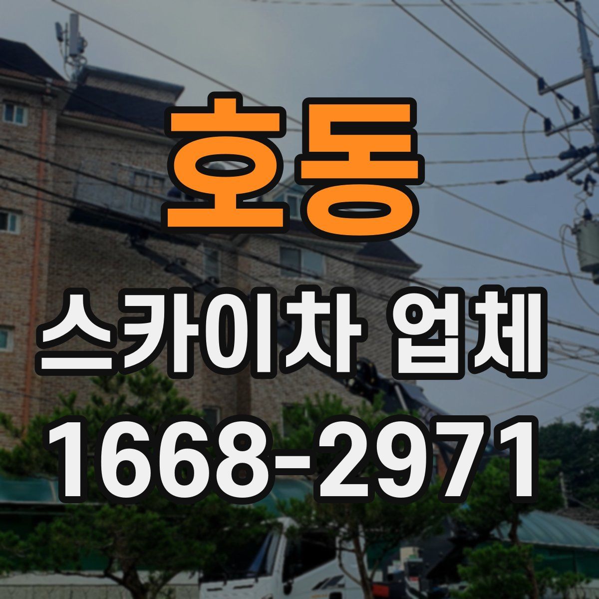 호동 스카이차 업체