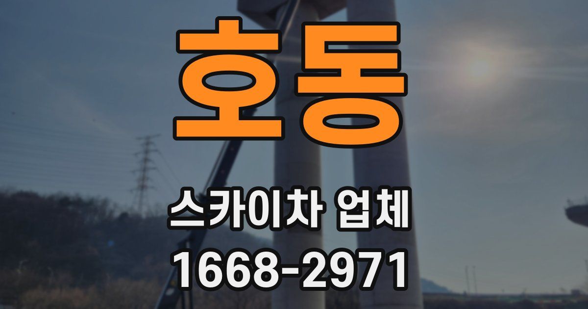 호동 스카이차 업체