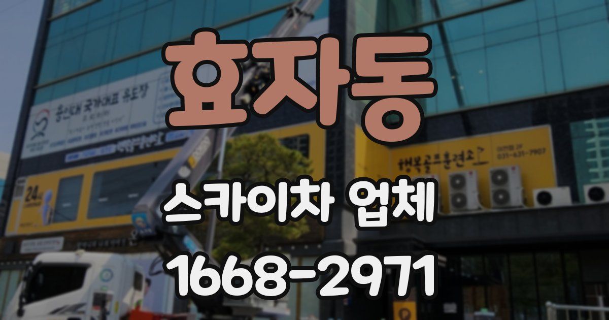 효자동 스카이차 업체