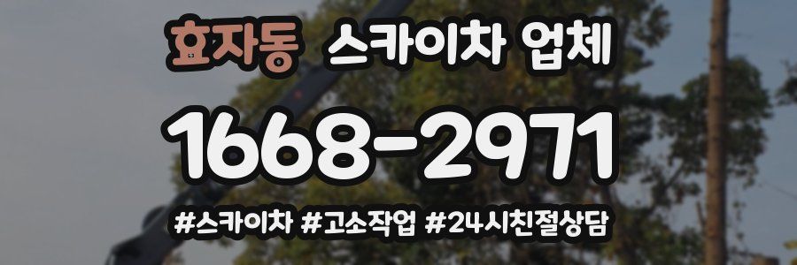 효자동 스카이차 업체