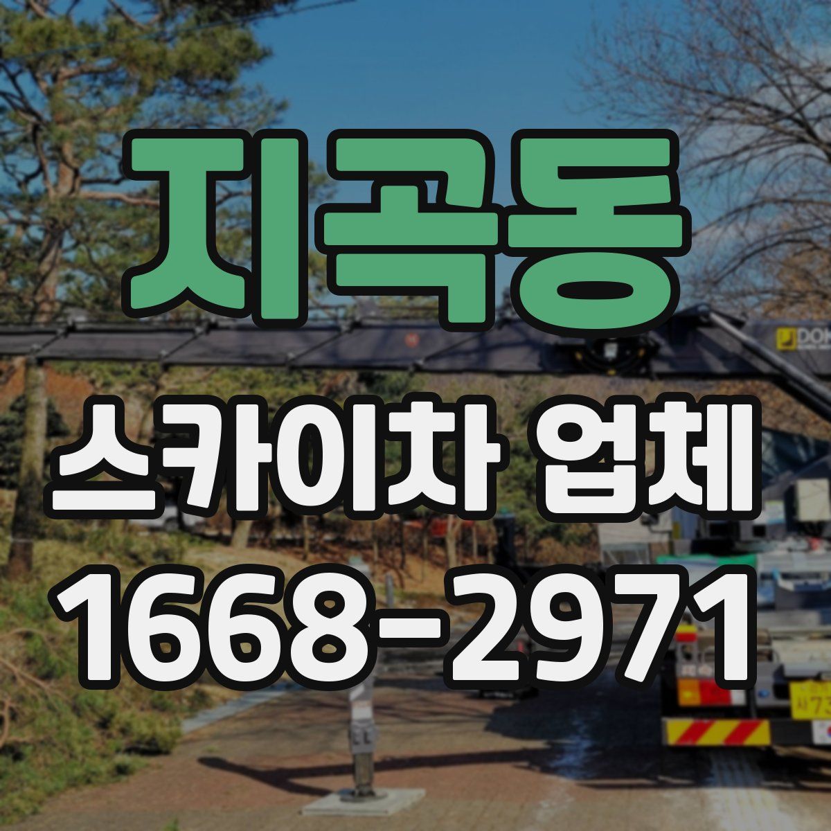 지곡동 스카이차 업체