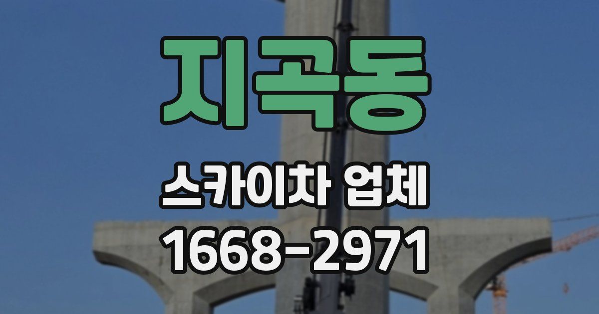 지곡동 스카이차 업체
