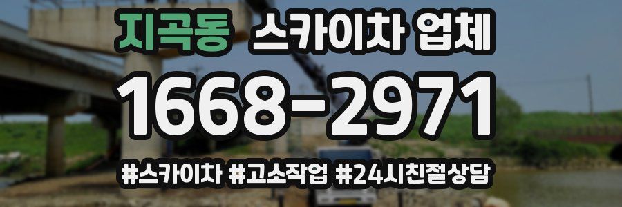 지곡동 스카이차 업체