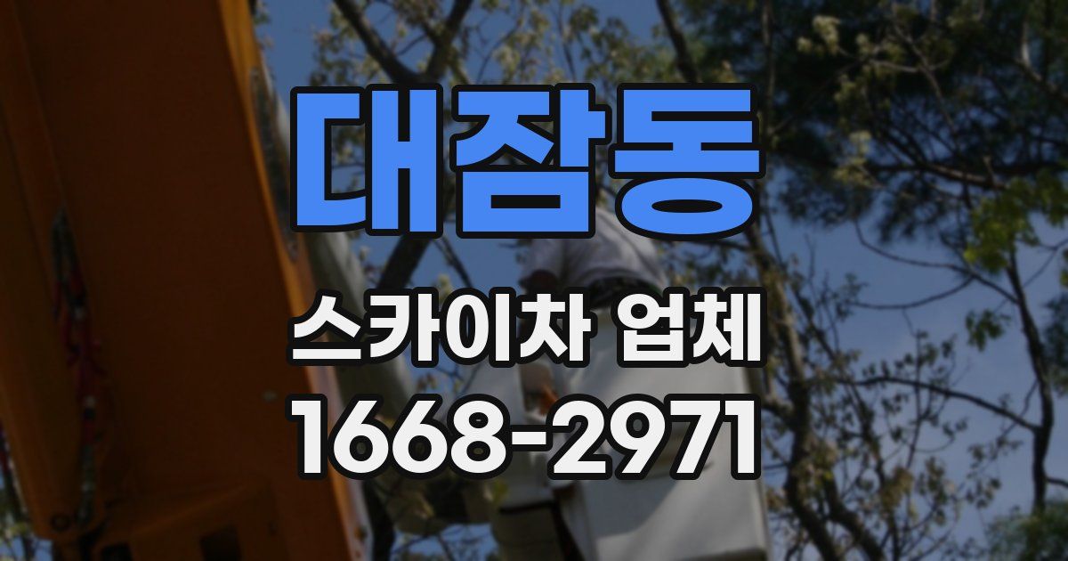대잠동 스카이차 업체