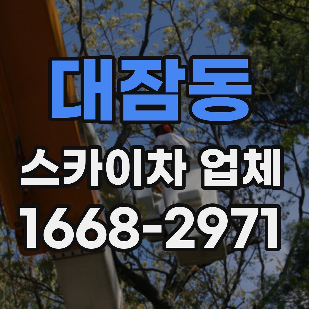 대잠동 스카이차 업체