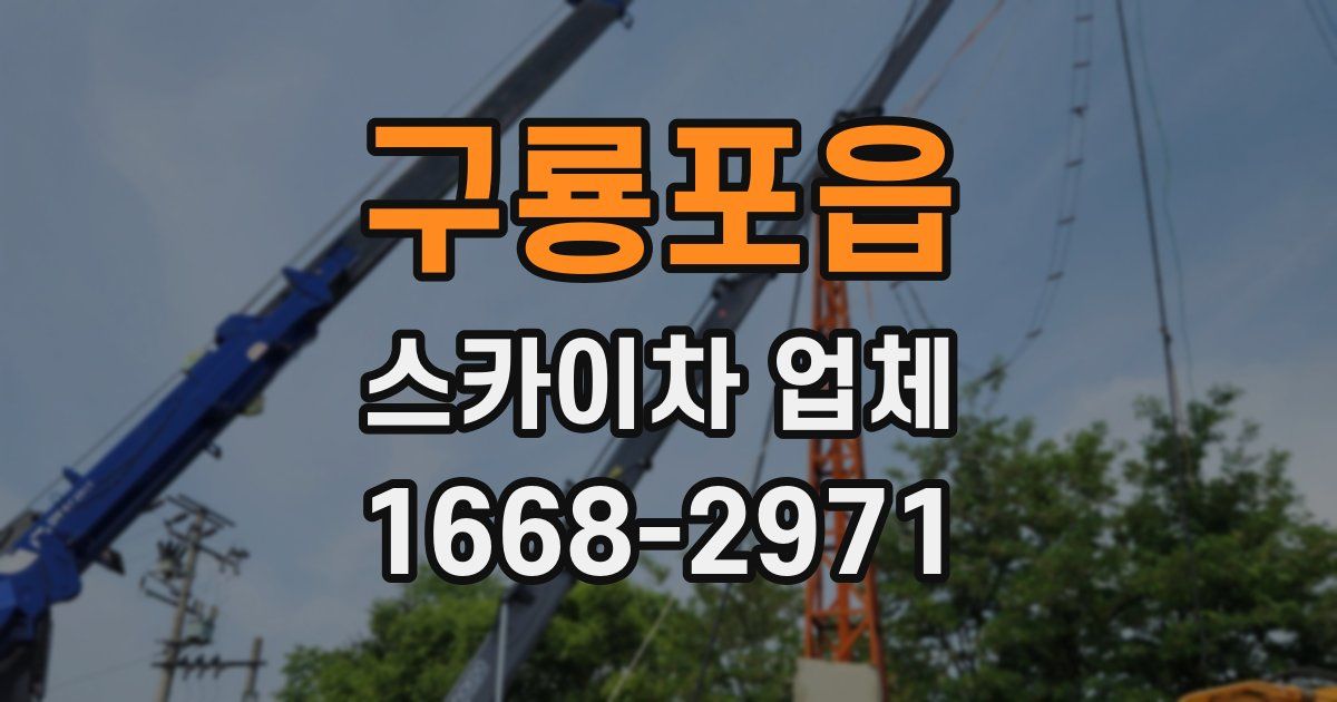 구룡포읍 스카이차 업체