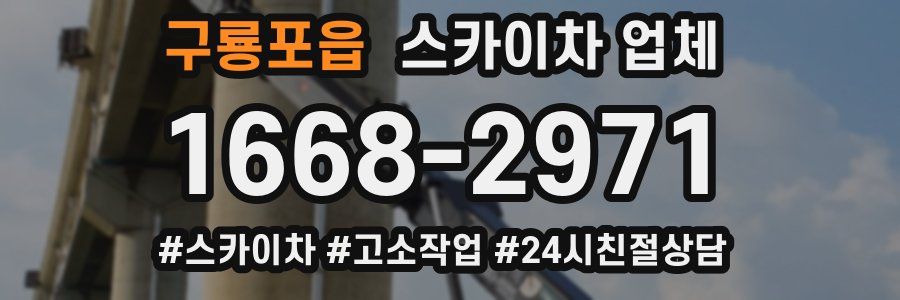 구룡포읍 스카이차 업체