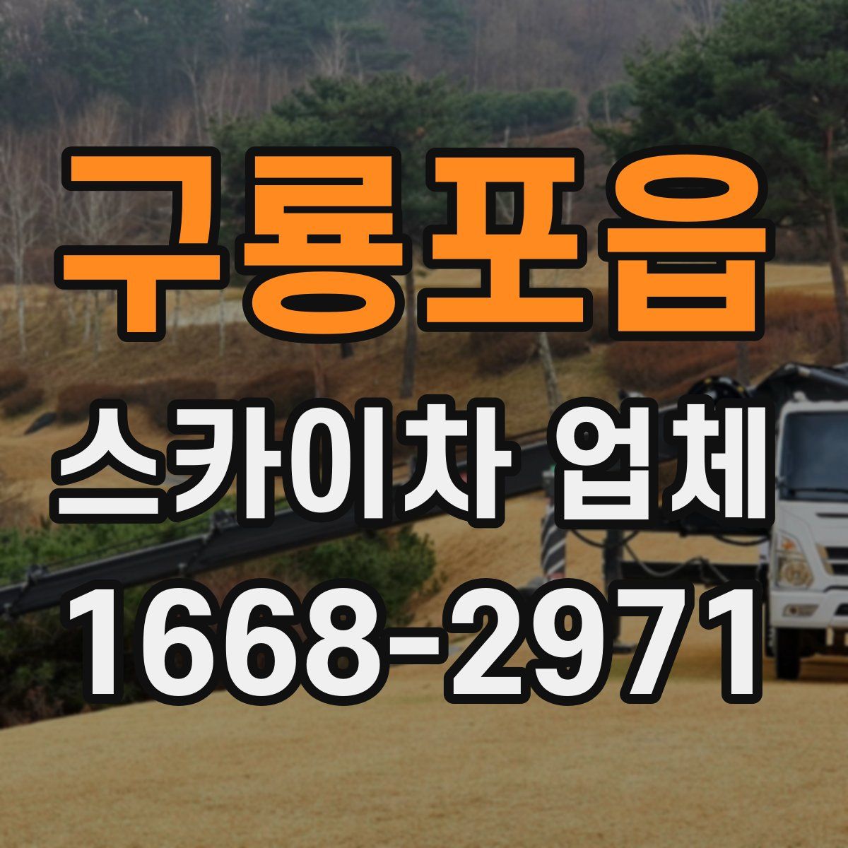 구룡포읍 스카이차 업체