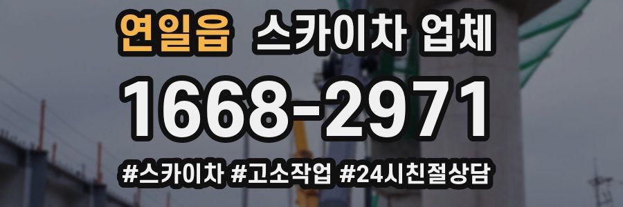 연일읍 스카이차 업체