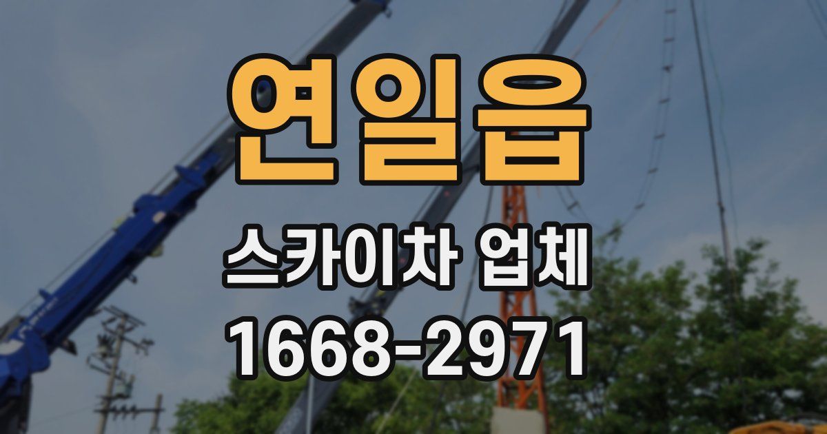 연일읍 스카이차 업체