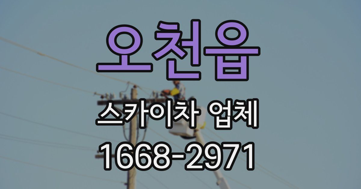 오천읍 스카이차 업체