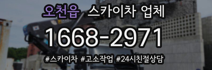 오천읍 스카이차 업체