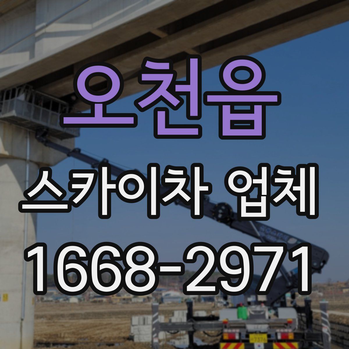 오천읍 스카이차 업체