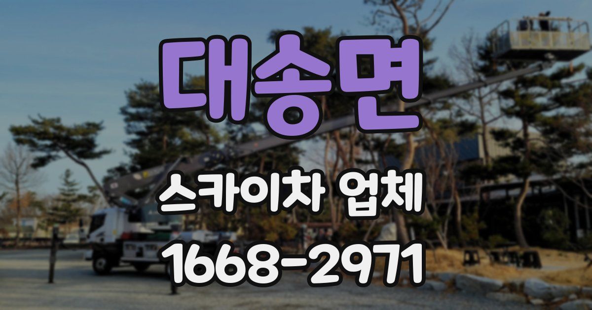 대송면 스카이차 업체