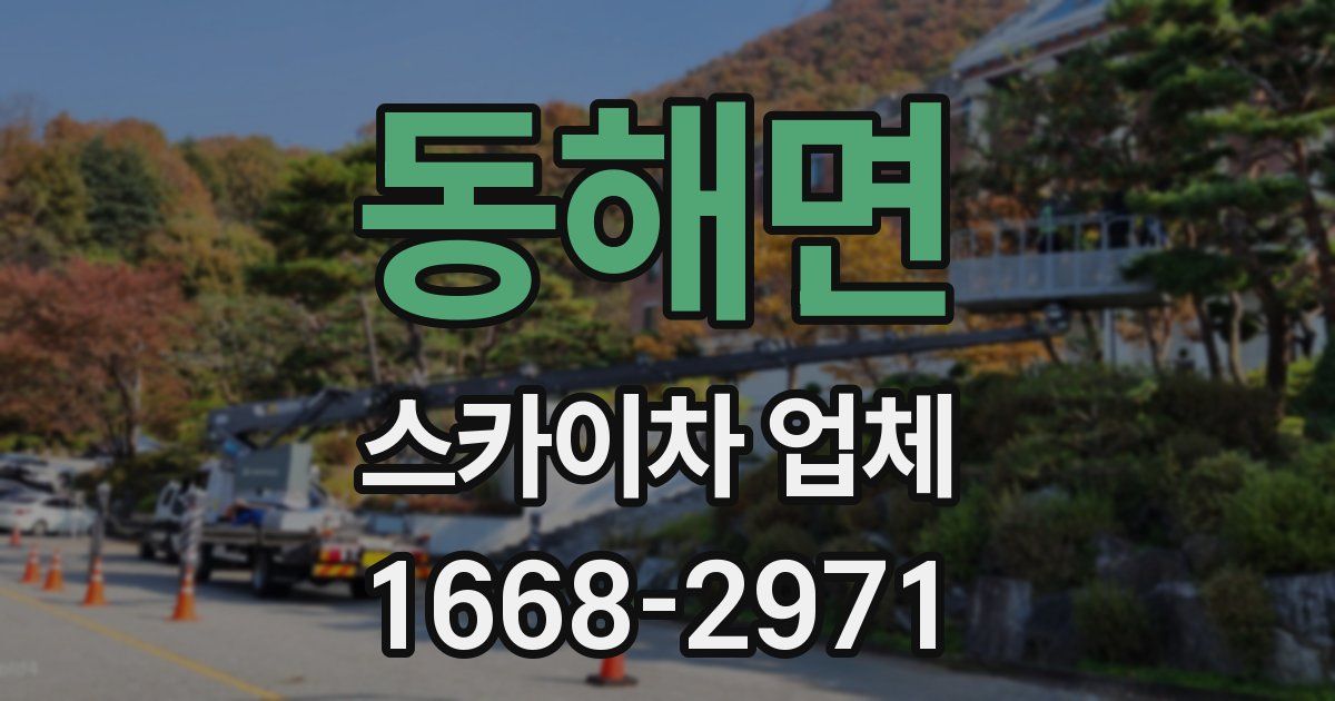 동해면 스카이차 업체