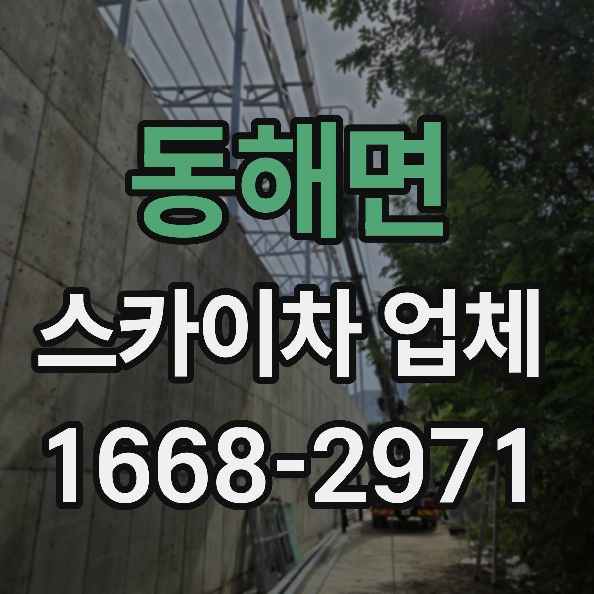 동해면 스카이차 업체