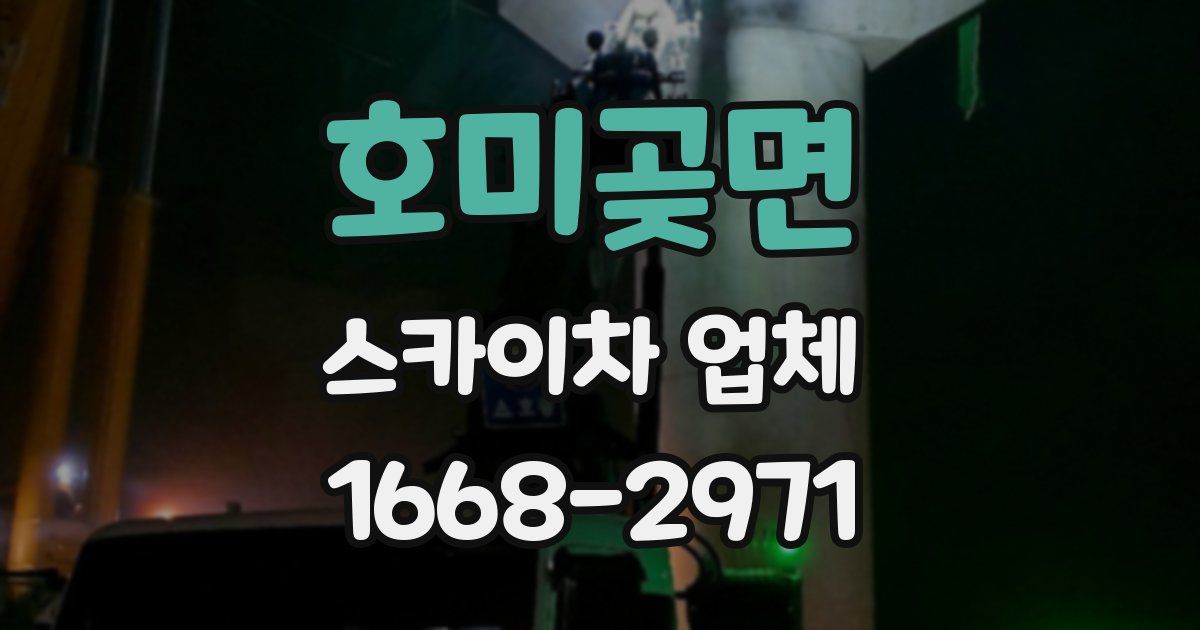 호미곶면 스카이차 업체