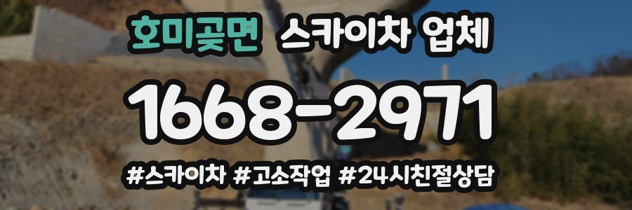호미곶면 스카이차 업체
