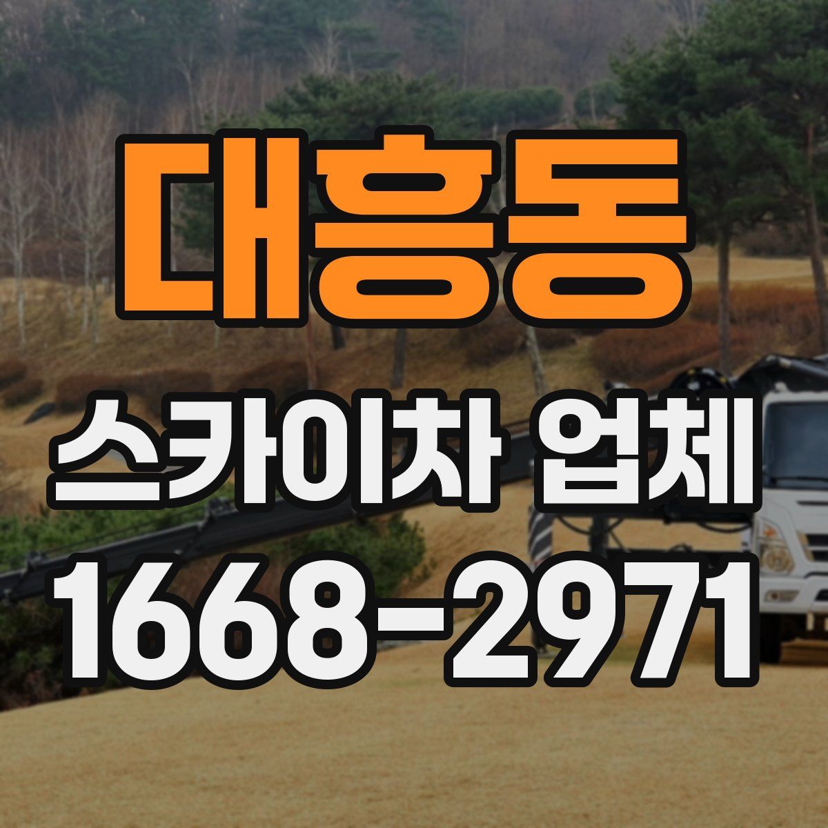 대흥동 스카이차 업체