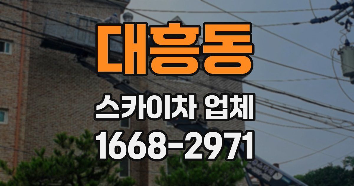 대흥동 스카이차 업체