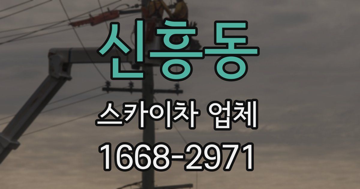 신흥동 스카이차 업체