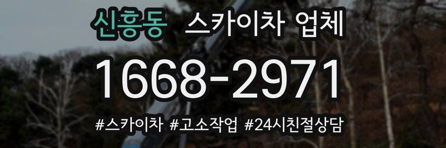 신흥동 스카이차 업체