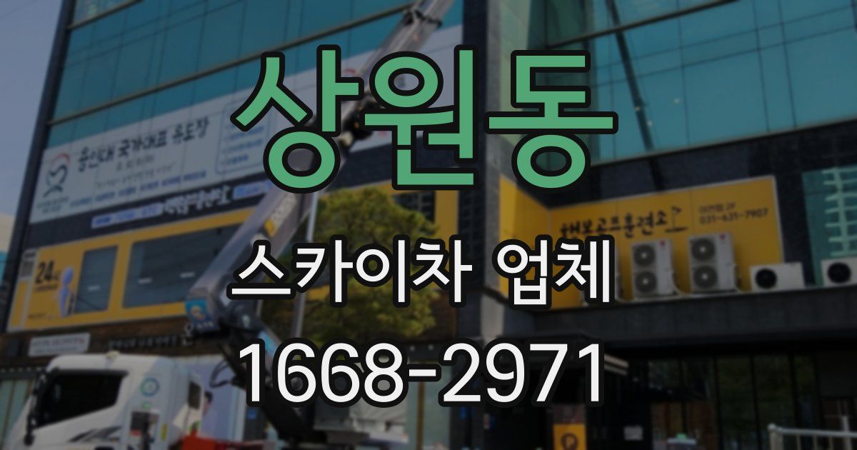 상원동 스카이차 업체