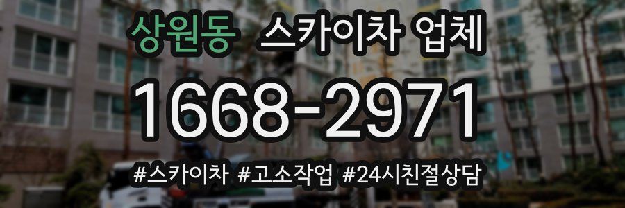 상원동 스카이차 업체