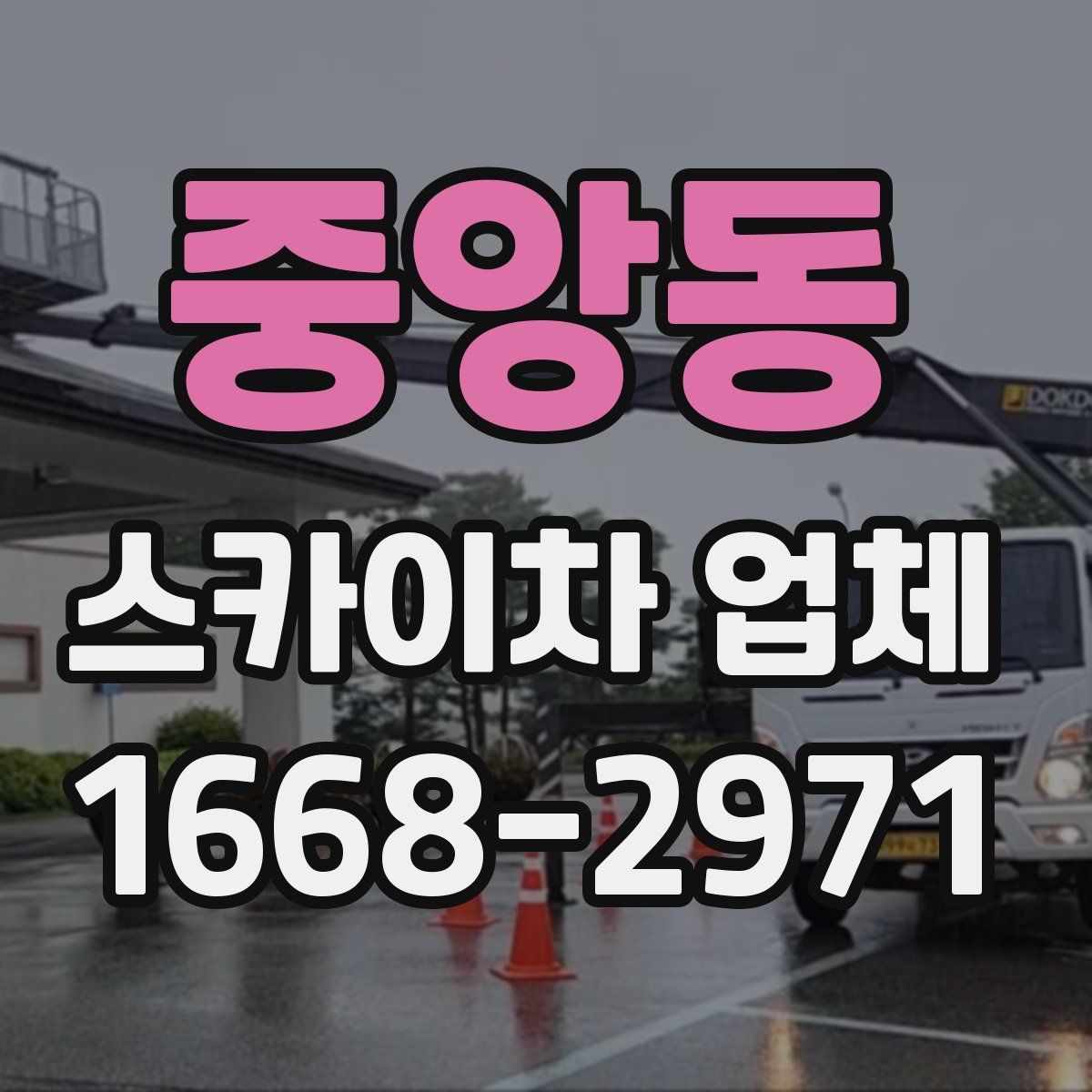 중앙동 스카이차 업체