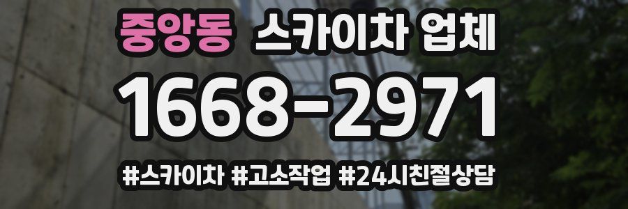 중앙동 스카이차 업체
