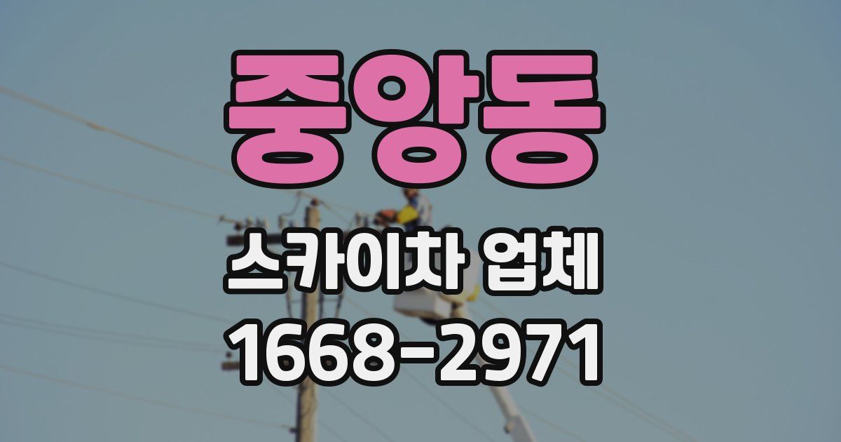 중앙동 스카이차 업체
