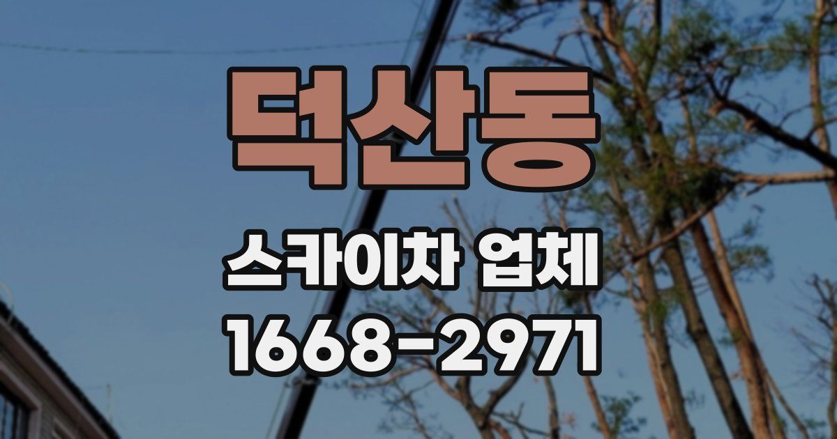 덕산동 스카이차 업체