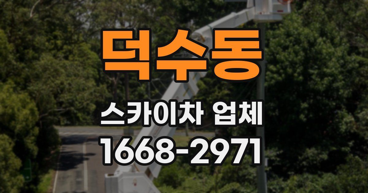 덕수동 스카이차 업체