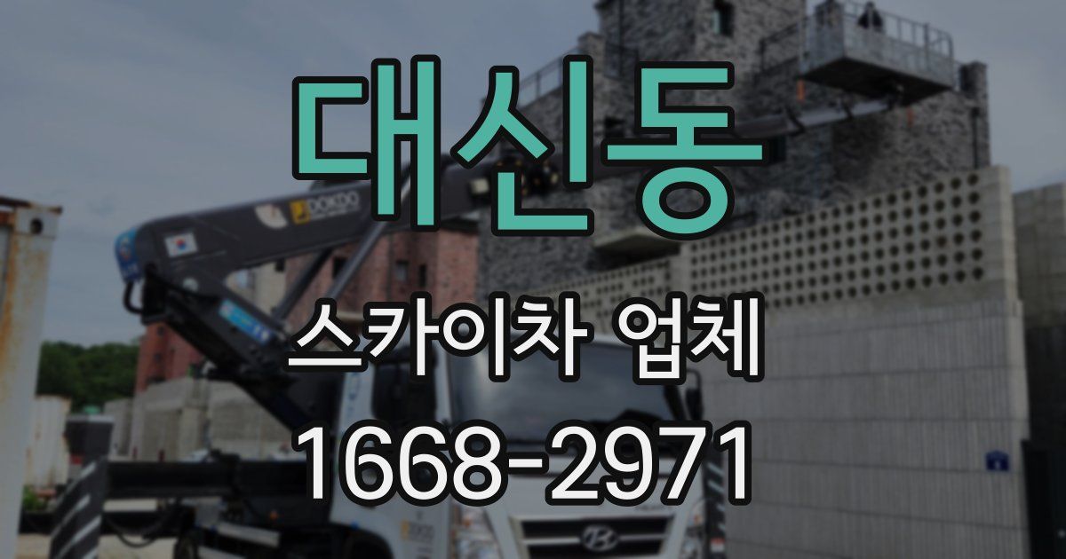 대신동 스카이차 업체