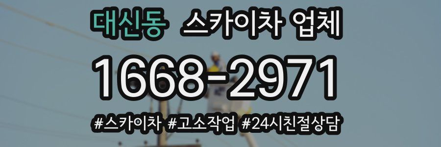 대신동 스카이차 업체